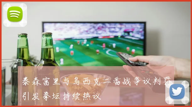 泰森富里与乌西克二番战争议判罚引发拳坛持续热议